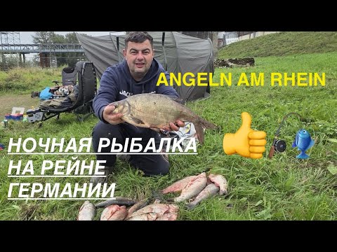 Видео: НОЧНАЯ РЫБАЛКА НА РЕЙНЕ В ГЕРМАНИИ / NACHTANGELN AM RHEIN 