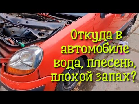 Видео: Вода в салоне автомобиля?