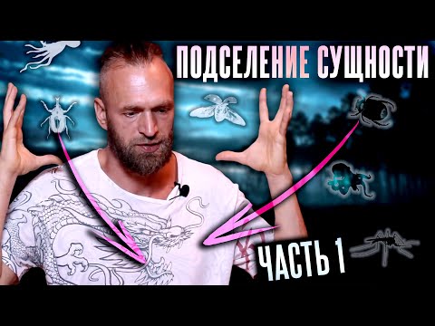 Видео: Астральные сущности #1: Что такое лярвы? Как выглядят? Какие бывают? Подселение сущности