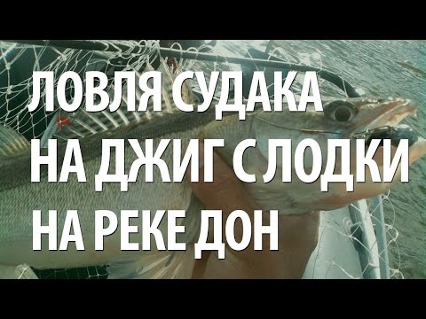 Видео: РЫБАЛКА на ДОНУ. КАК ЛОВИТЬ СУДАКА на СПИННИНГ ДЖИГОМ