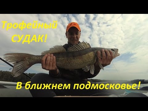 Видео: ВОТ ЭТО РЫБАЛКА!!! Клюет как на чёрных камнях!!!  Трофейных судак! Джиг с лодки. + РОЗЫГРЫШ