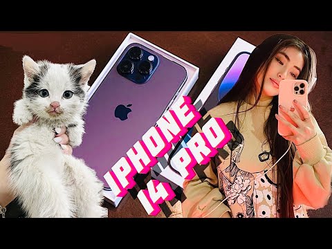 Видео: Біздің жаңа IPhone 14 және мысық😻