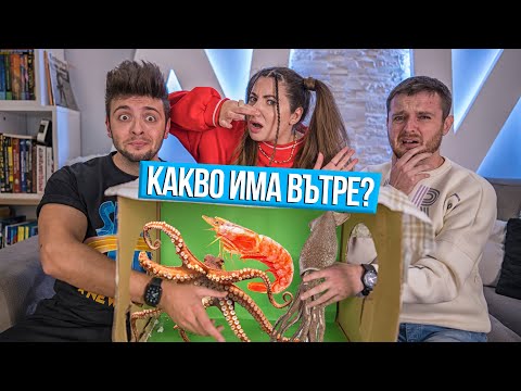 Видео: КАКВО ИМА В КУТИЯТА