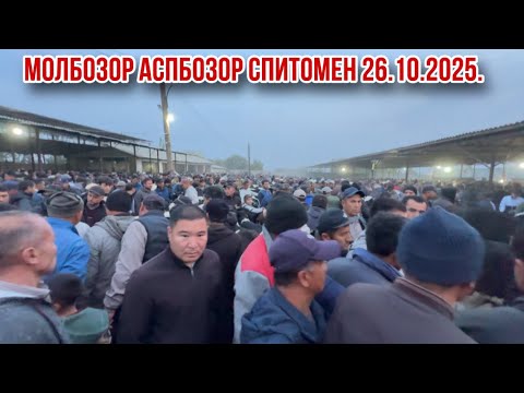 Видео: Аспбозор Хучанд Спитомен 26 октября 2025 г.