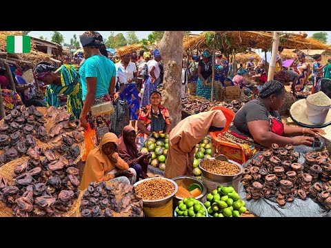 Видео: День сельского африканского рынка в Гаян, Нигерия 🇳🇬 Западная Африка