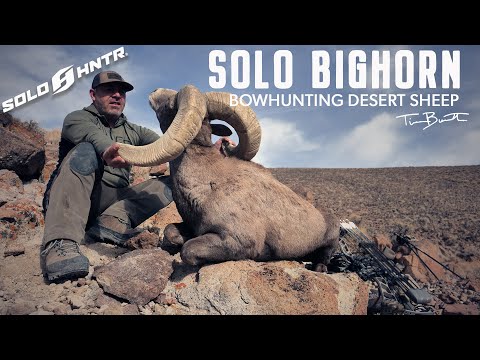 Видео: Охота с луком на толсторогих баранов в пустыне с Тимом Бернеттом