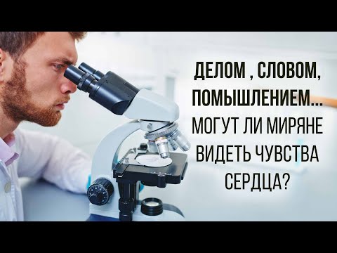 Видео: Делом , словом, помышлением...  Могут ли миряне видеть чувства сердца?