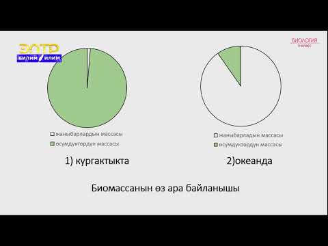 Видео: 9-класс | Биология | Биосферанын структурасы жана В.И. Вернадскийдин биосфера жөнүндөгү окуусу.