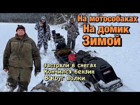 Видео: Застряли на мотособаках в тайге  Выживаем зимой в лесу