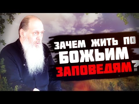 Видео: "Зачем жить по Заповедям Божиим?" Сильная проповедь!