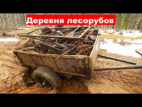 Видео: Сезон металлокопа открыт! Первый выезд. Деревня лесорубов.