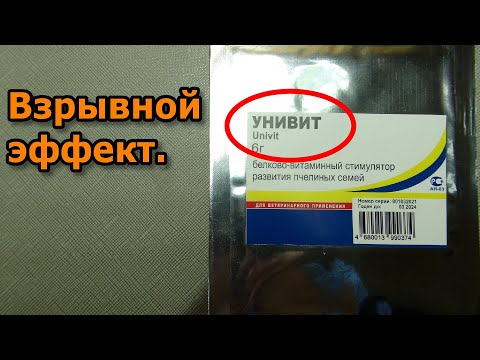 Видео: Белковая подкормка пчёл ранней весной.