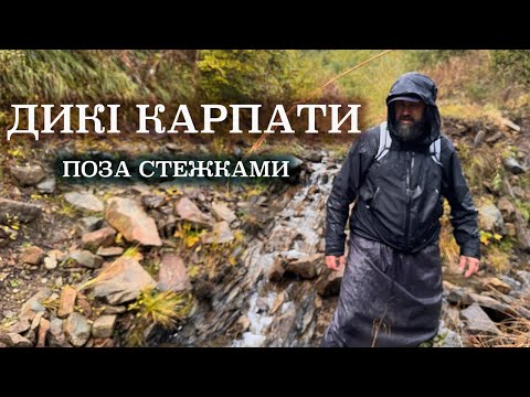 Видео: Там, де немає стежок. Карпати без людей