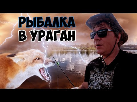Видео: Рыбалка с ночевкой. В поисках ЛЕЩА. Пришла бешенная лиса в лагерь