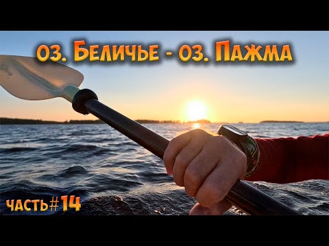 Видео: #14 оз. Беличье - оз. Пажма | Ковдозеро 2023