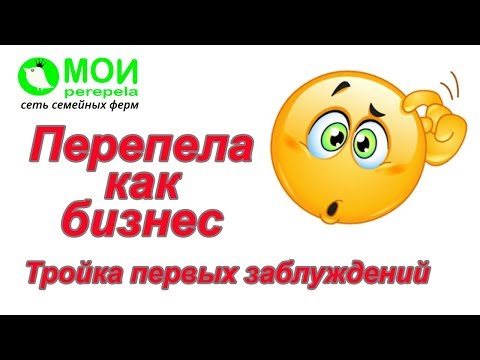 Видео: Перепела как бизнес.  Тройка первых заблуждений.  МОИ перепела