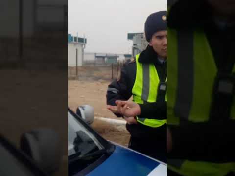Видео: Жанаозен гаи