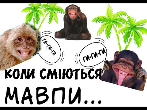 Видео: Щоденник В П О.  Фільм 7.  Про медицину
