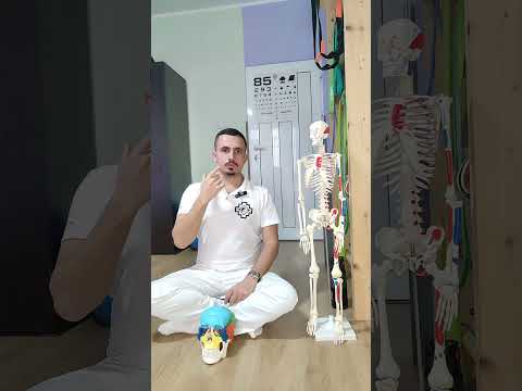 Видео: Език и стойка!