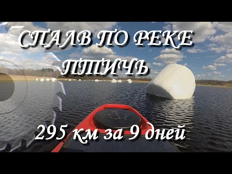 Видео: Сплав по реке  Птичь 295 км  за 9 дней