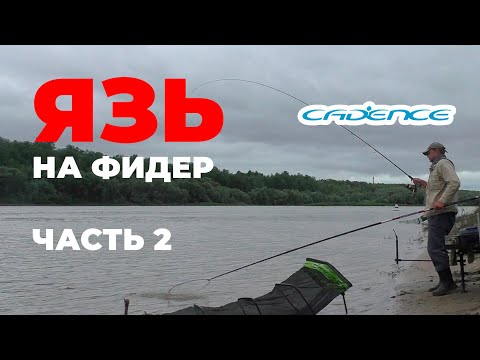 Видео: 43 язя на фидер на Иртыше. Часть 2. Удилище Cadence Distance Feeder 3.9 150 #OmskFish