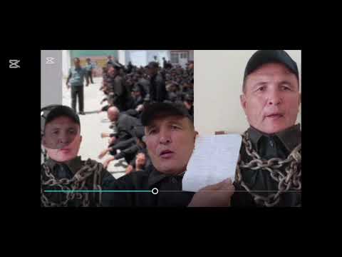 Видео: Барча журналист, блогер ва адвокатларга илтимос мурожаат, 11.11.2025-йил соат 14-30 Олий судга келин