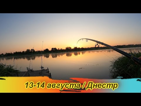 Видео: Рыбалка 13 14 августа / Днестр