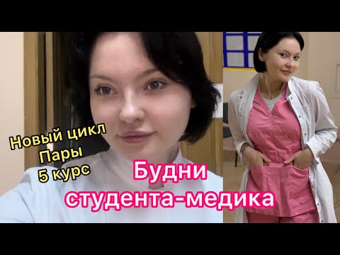 Видео: Будни студента-медика на 5 курсе. Как проходят пары и лекции в медицинском?