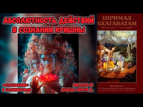 Видео: Абсолютность действий в сознании Кришны. Ананда-мурти д. ШБ.6.5.14–15