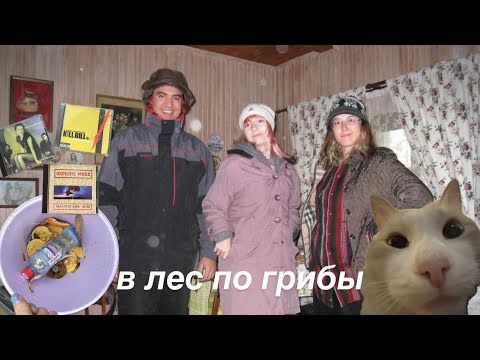 Видео: они ушли жить в лес и едят поганки