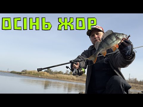 Видео: Щука Судак Окунь Вечірній ЖОР на р. Велика Корабельна. VESTA Осінь 2023