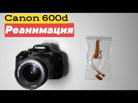 Видео: Реанимация Canon 600d