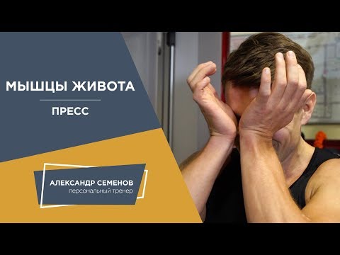 Видео: Упражнения для пресса с тренажером