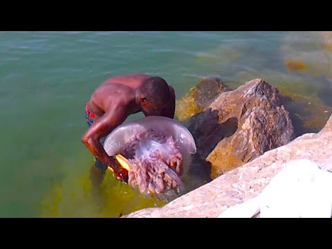 Видео: НЕВЕРОЯТНЫЕ СЛУЧАИ НА РЫБАЛКЕ, СНЯТЫЕ НА КАМЕРУ