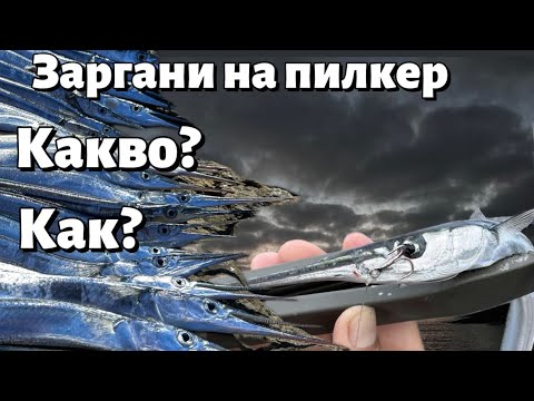 Видео: Риболов на ЗАРГАН на ДЖИГ. Какво трябва да знаем?