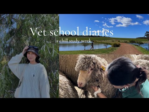 Видео: холодная неделя в моей жизни как студента-ветеринара