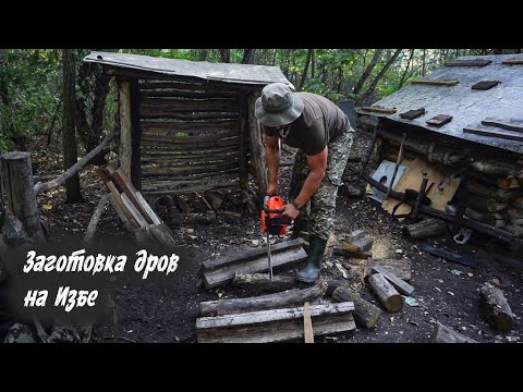 Видео: Лесная Изба. Заготовк дров. Щука на кружки