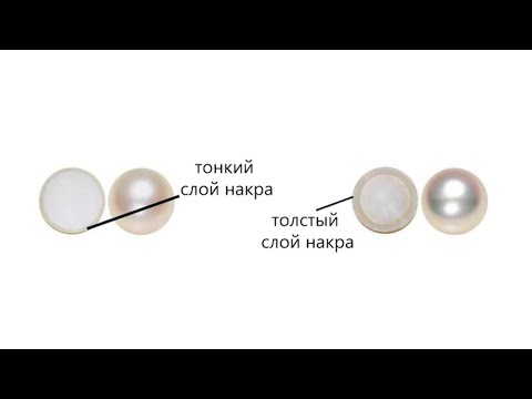 Видео: Энциклопедия драгоценных камней. Жемчуг. Часть 8.