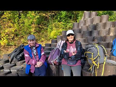 Видео: Осень Голубка