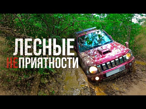 Видео: ГРЯЗЕВЫЕ ИСПЫТАНИЯ В ПРИГОРОДЕ ВЛАДИВОСТОКА | SUZUKI JIMNY