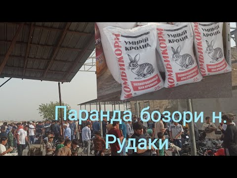 Видео: Паранда бозори н. Рудаки 15.09.2025 с