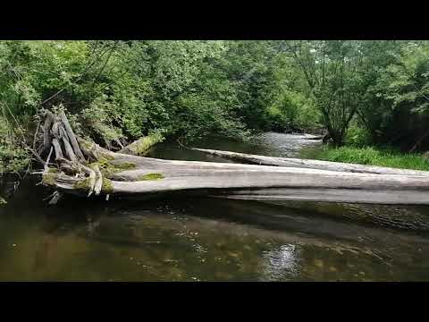 Видео: Мельничное трудная рыбалка