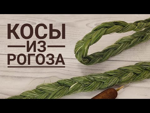Видео: 🌿КОСЫ из РОГОЗА. Как чесать рогоз!🌿