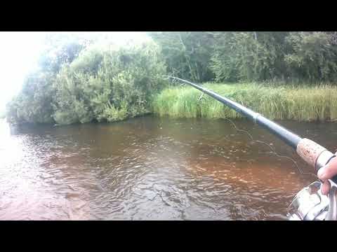 Видео: Рыбалка на хариуса, Река Убукунка, Выходной...