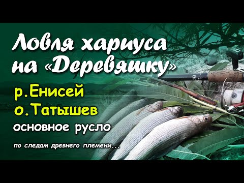 Видео: Ловля хариуса на "Деревяшку". р. Енисей, о. Татышев, основное русло. По следам древнего племени...