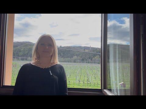 Видео: Итальянский язык. SOLDI o DENARO. Прогулка по Gorizia.