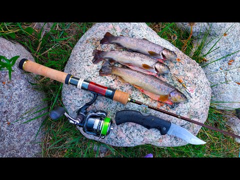 Видео: РЫБАЛКА. ДИКАЯ ФОРЕЛЬ В ГОРАХ КЫРГЫЗСТАНА. ЫССЫК-АТА.