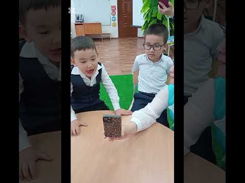 Видео: Ашық сабақ