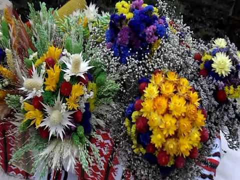 Видео: Как я оформляю букетики из сухоцветов.