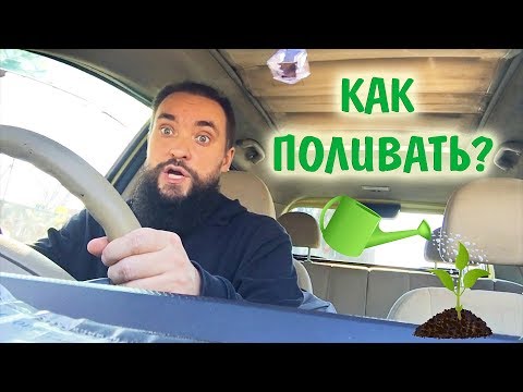 Видео: Обо всем за рулем #16 / Как поливать растения / Mr.GrowChannel